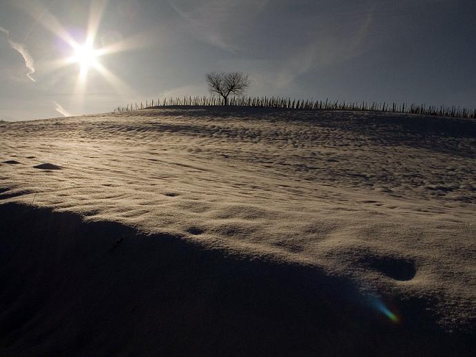 nevicata sull'oltrep�