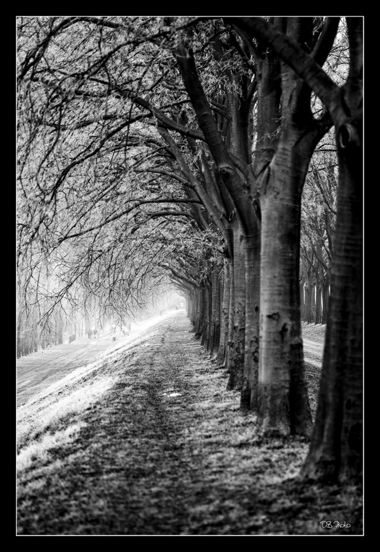 Inverno - Ferrara - Mura di Cinta