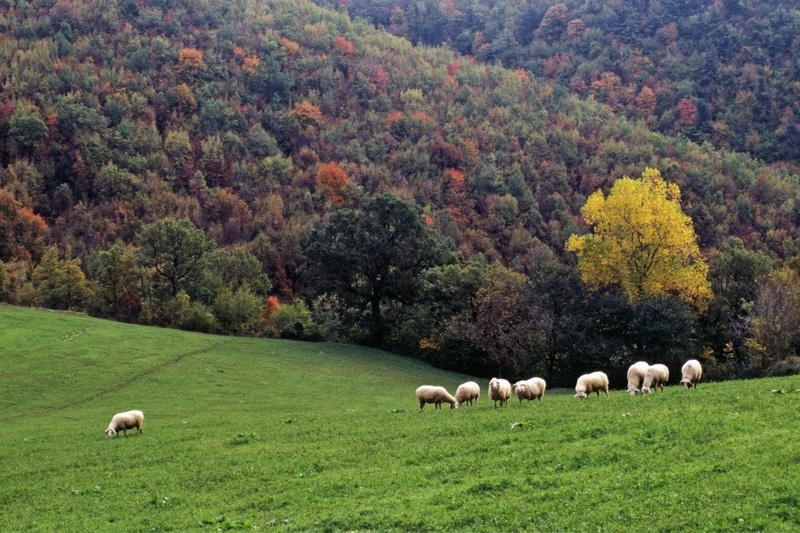 Mercatello sul Metauro