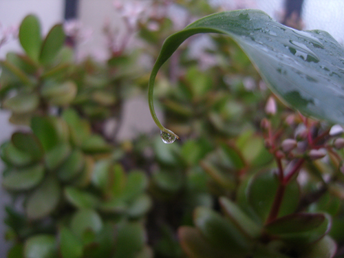 Un giorno di Pioggia