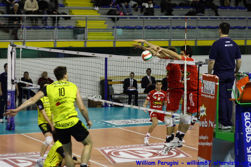 codyeco lupi - wayel bologna