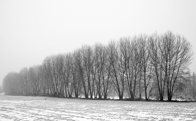 Lancone. Inverno 2006