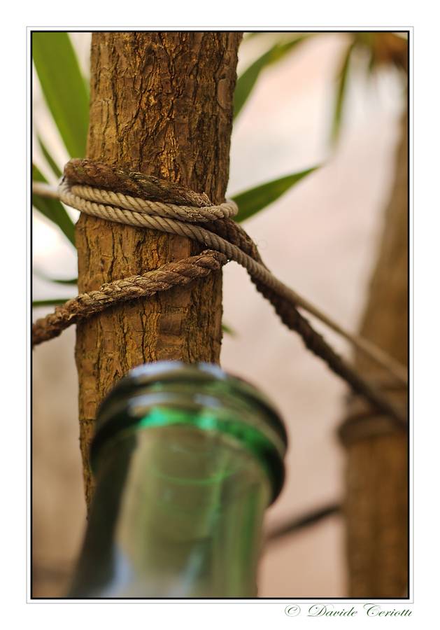 tensione in paese...