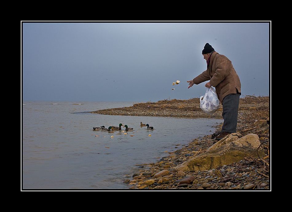 L' omino delle anatre..
