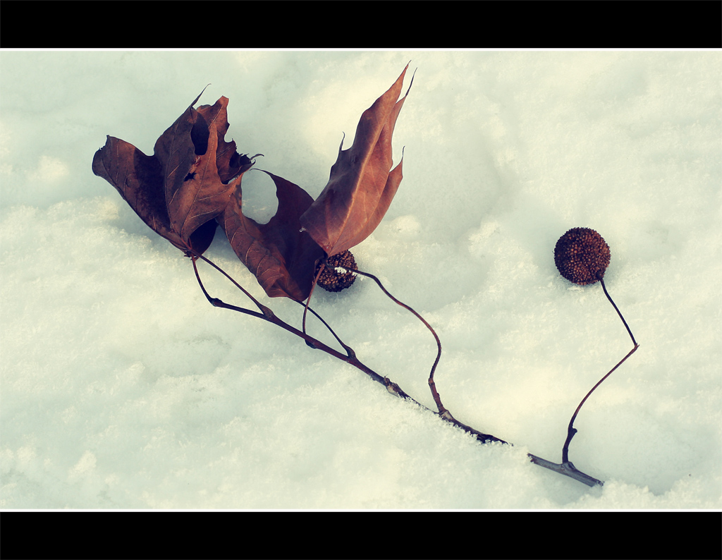 ...Vittima del freddo...