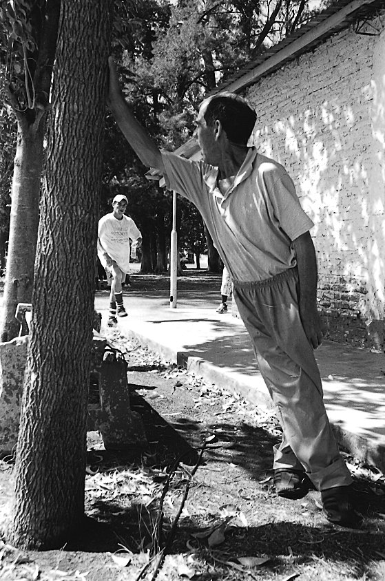 ritratti da un manicomio