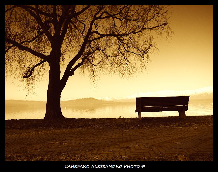 Vecchi ricordi al lago
