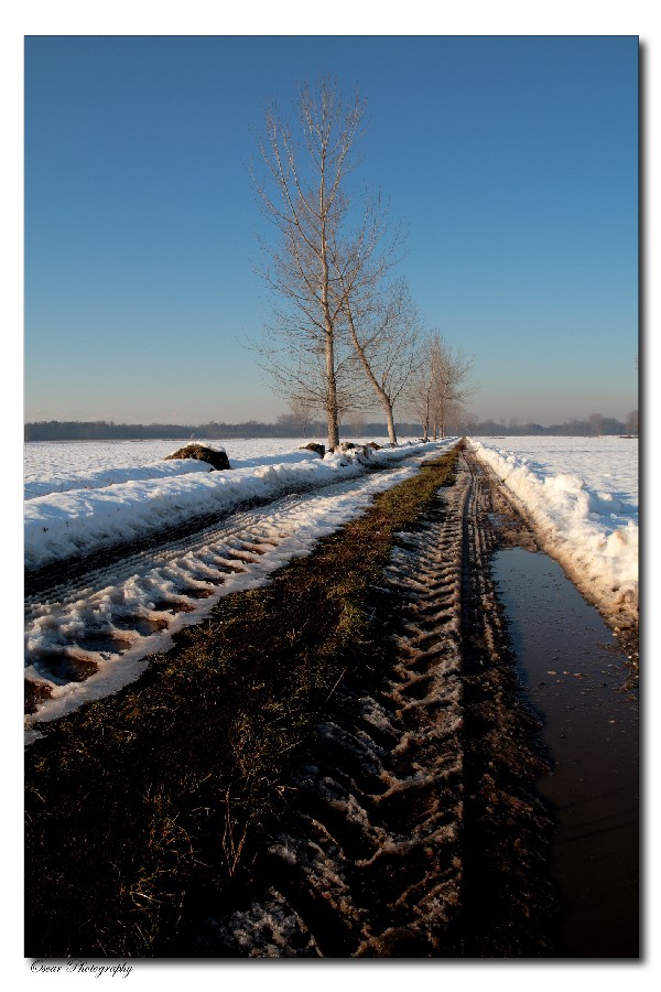 la primavera � ancora lontana...