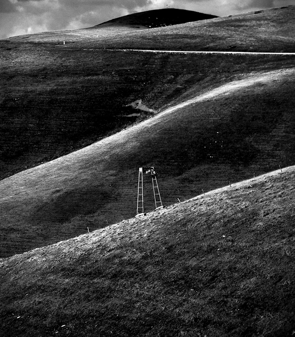 Colline a Podestaria, 2008