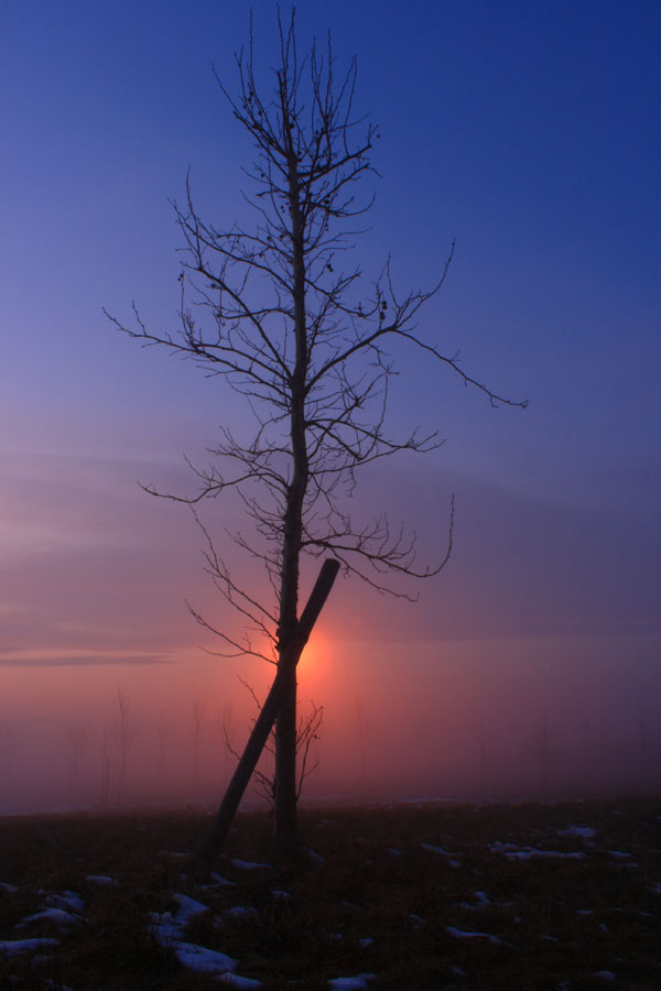 aspettando la primavera