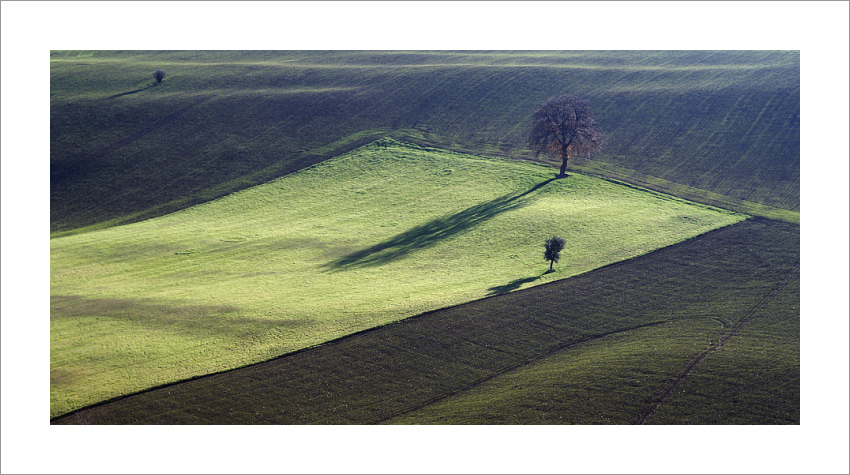 ...tovaglia verde...