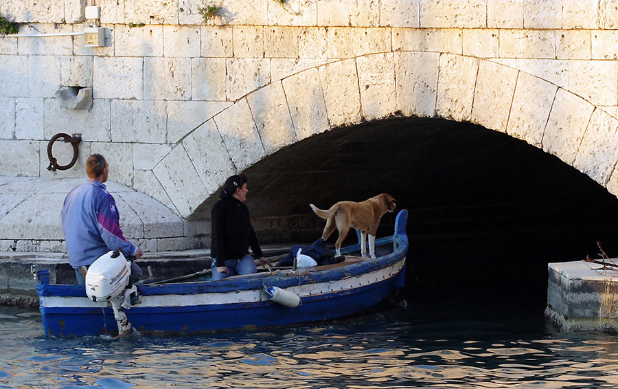 Bau bau ....via libera.....