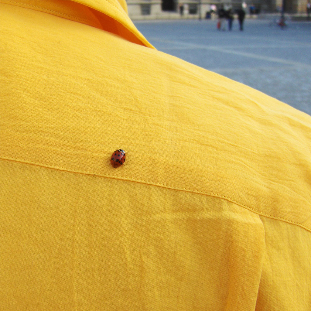 Coccinella a Berlino