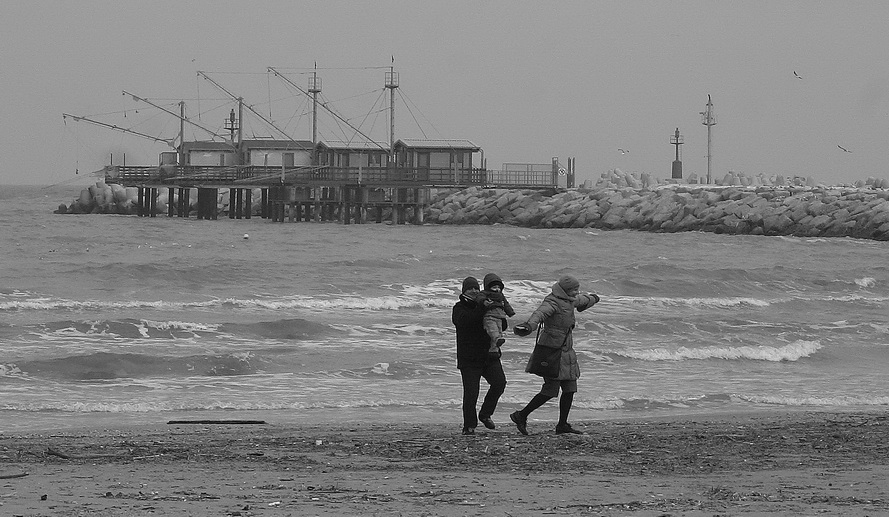FAMILY - imitando i gabbiani