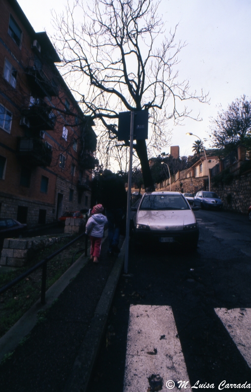 scorcio di Cagliari/1