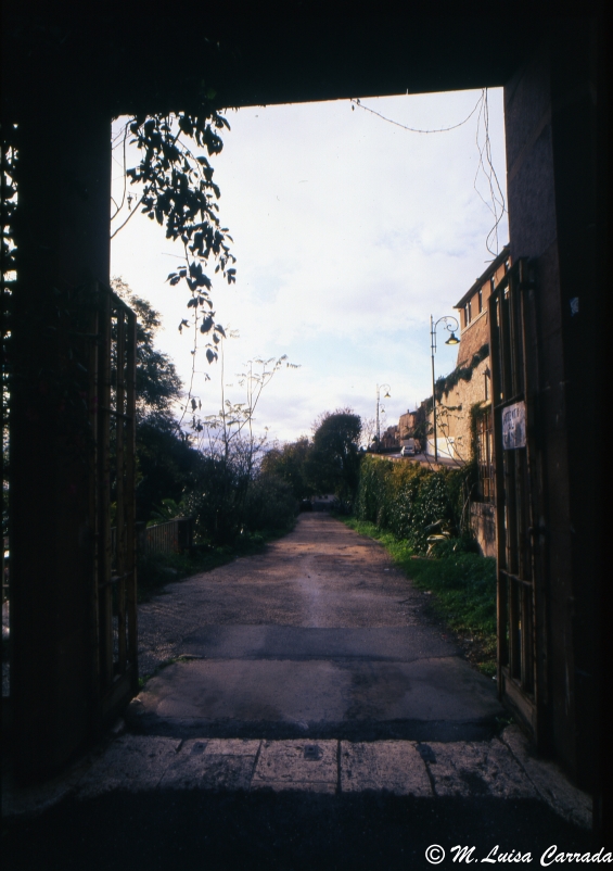 scorcio di Cagliari/3