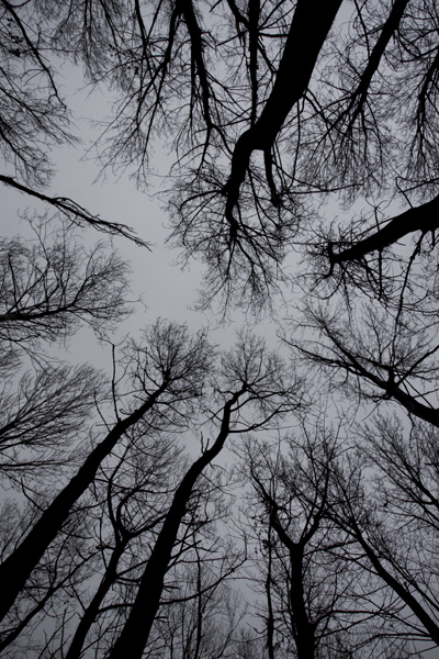 Tutti verso il cielo