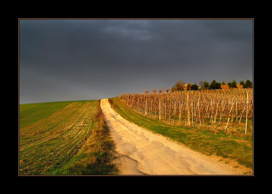 L'ultimo raggio di sole