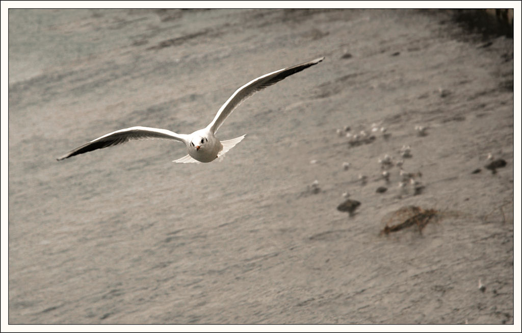 volo..via