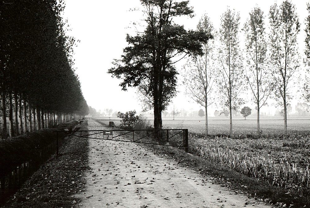 i silenzi della "bassa"