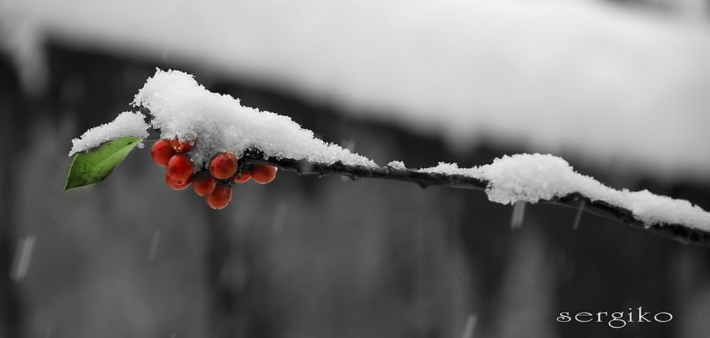 Il risveglio della natura