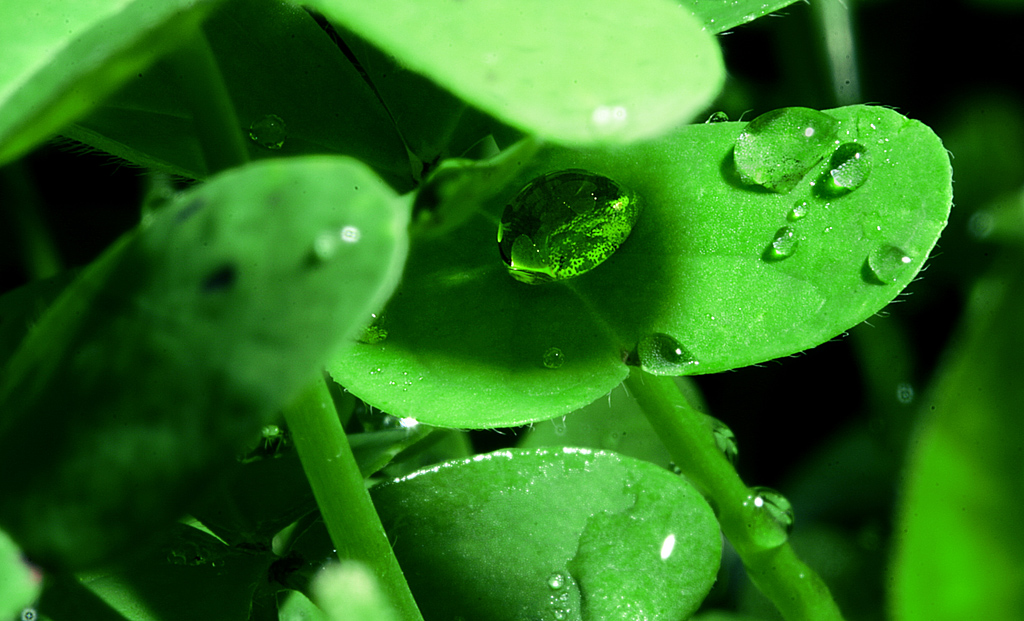 Un ombrellino per il fastidioso sole del mezzod�