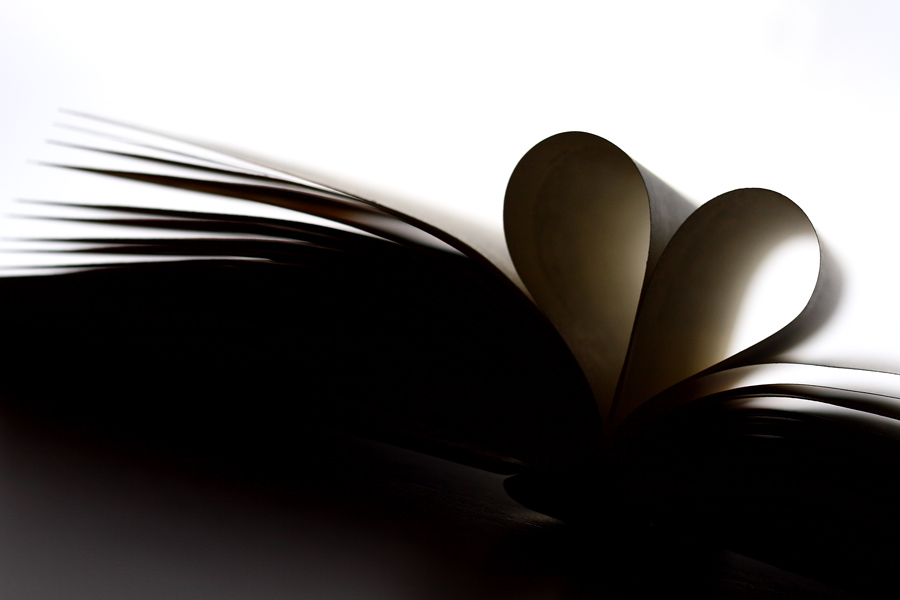 La solitudine dei numeri primi