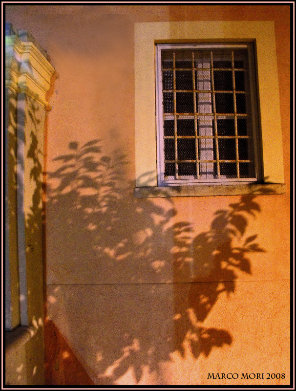 SCORCIO DI PIETRASANTA