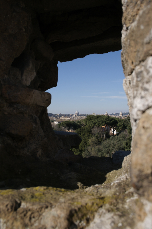 Vista dal Palatino