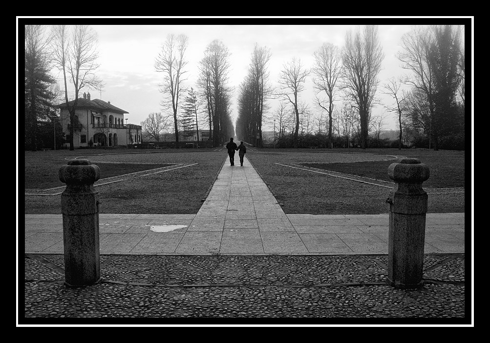 passeggiando verso la nebbia