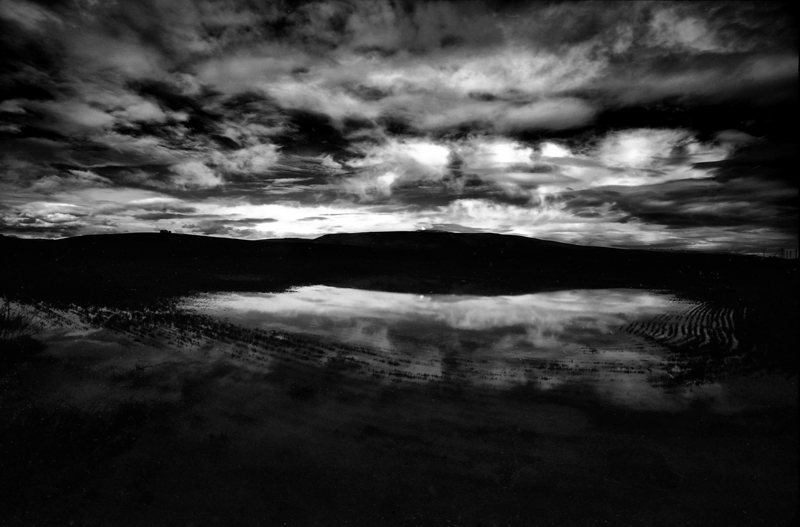 Vivo tra forme luminose e vaghe che ancora non sono tenebra...