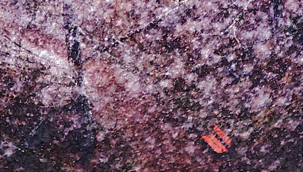 La Neve Attenua Il Ricordo Del Dolore, Non Lo Cancella