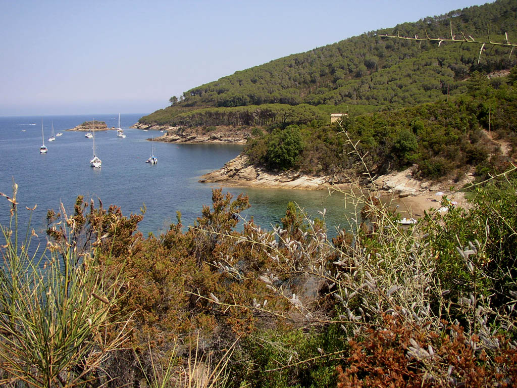 Cala Nova