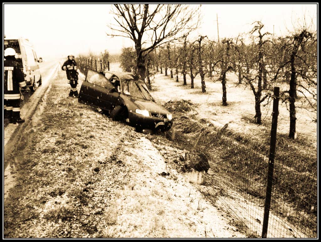 L'angelo custode ha fatto il suo... (raccolta)