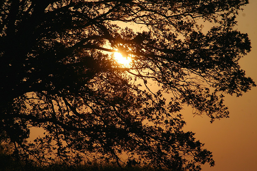 Armonia crepuscolare