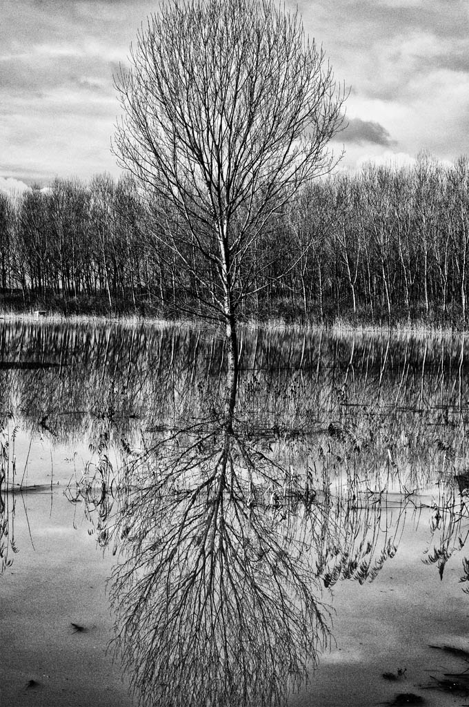 Prima ballerina......