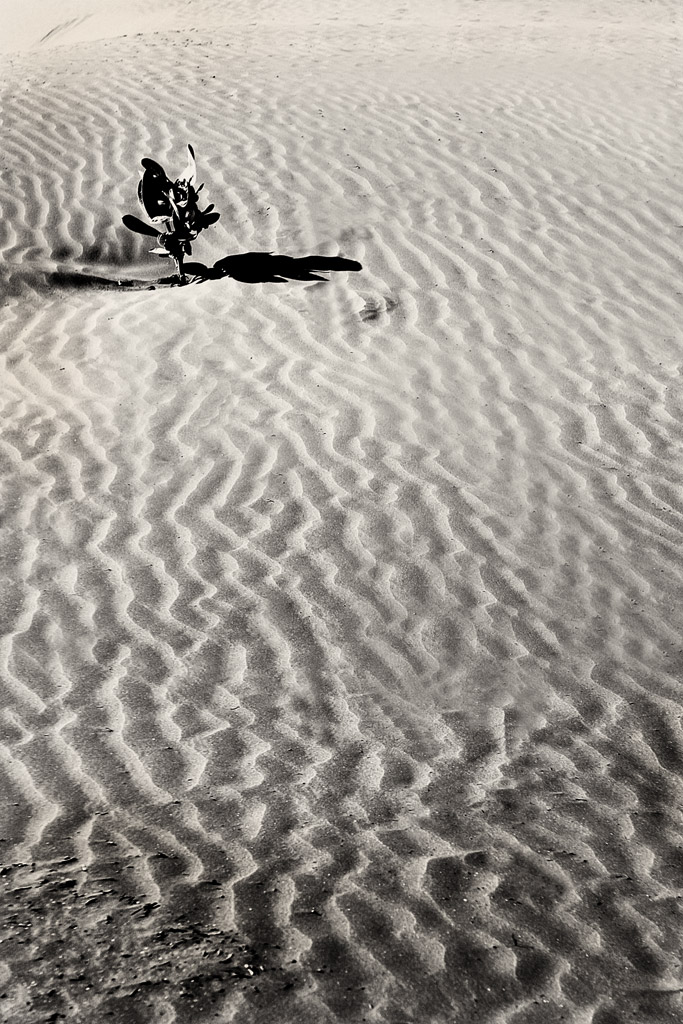 E tu che ci fai qui?