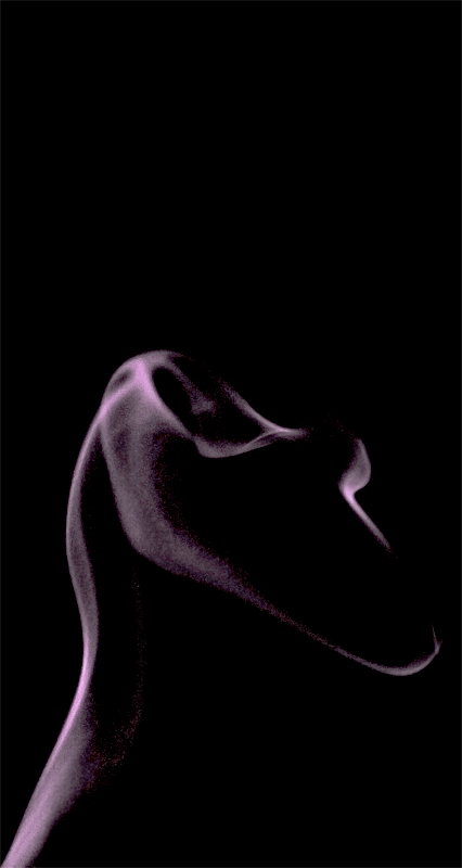 secondo voi cos'�??