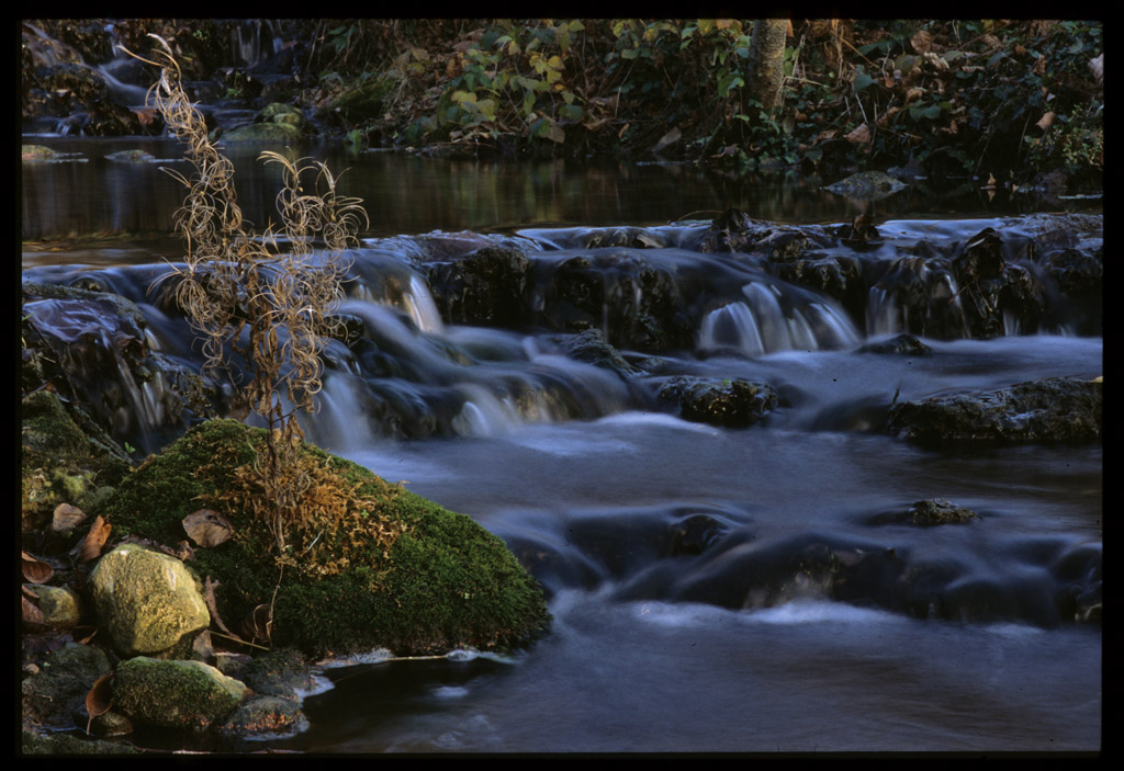 Scorcio di un torrente