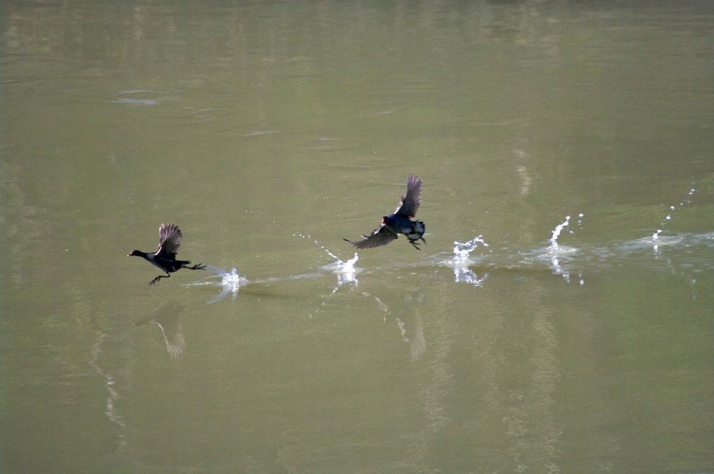 Tanto non mi prendi!!