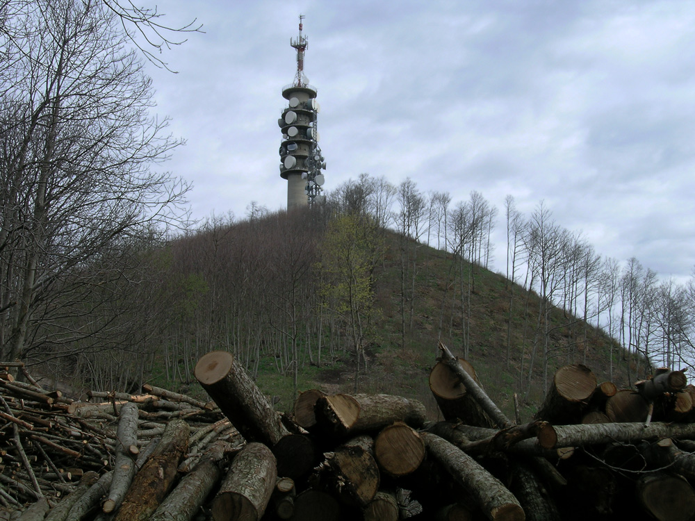 C'era una volta.....