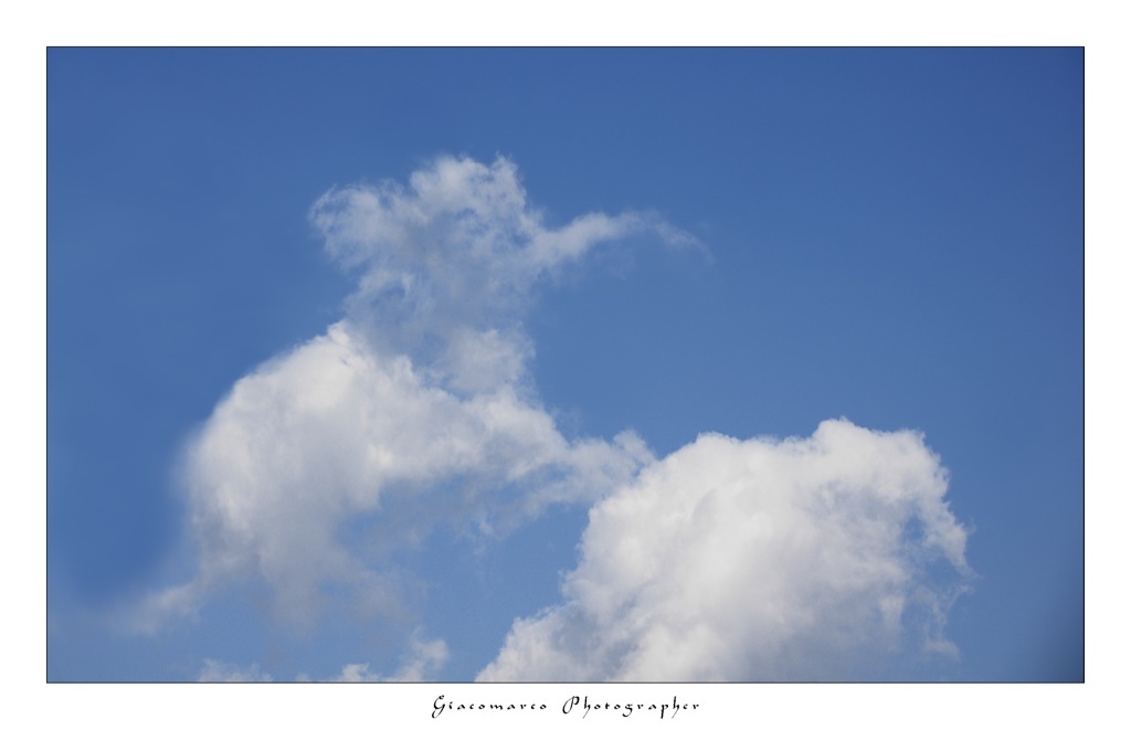 Elefantino salterino