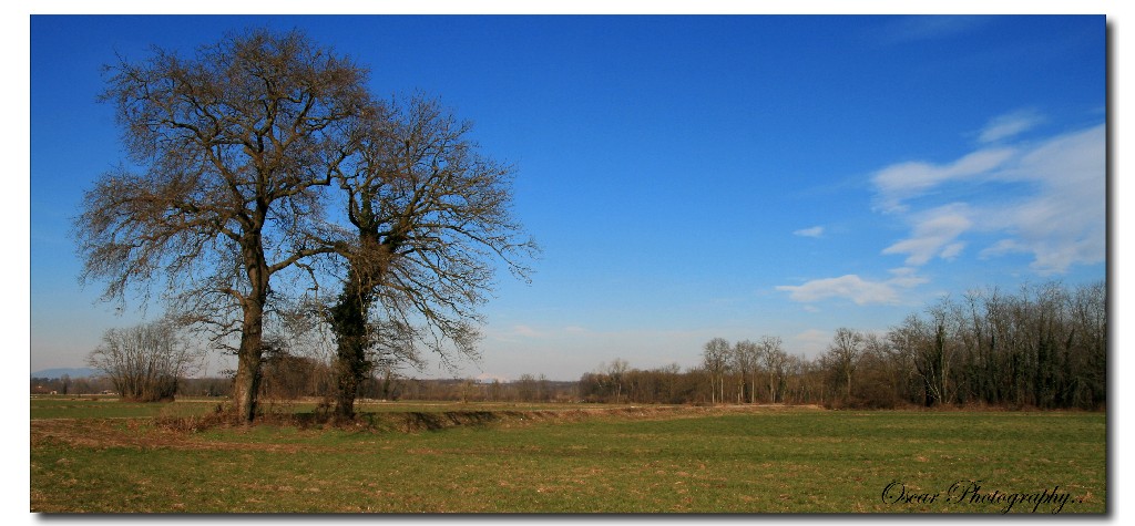 imponenti tra cielo e terra...