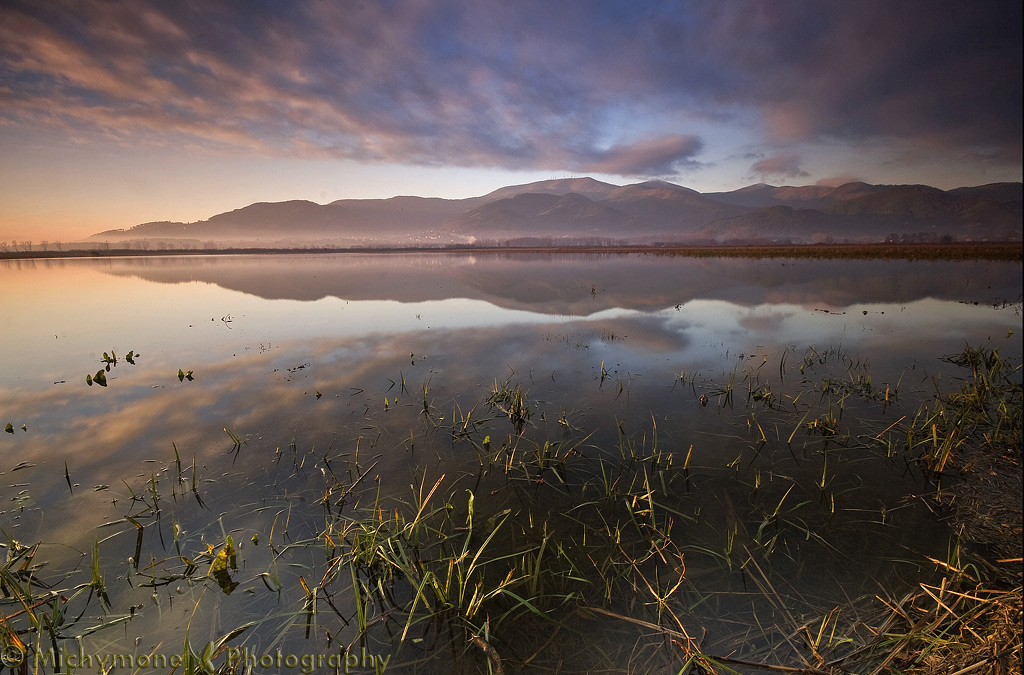 ...il padule si fa bello