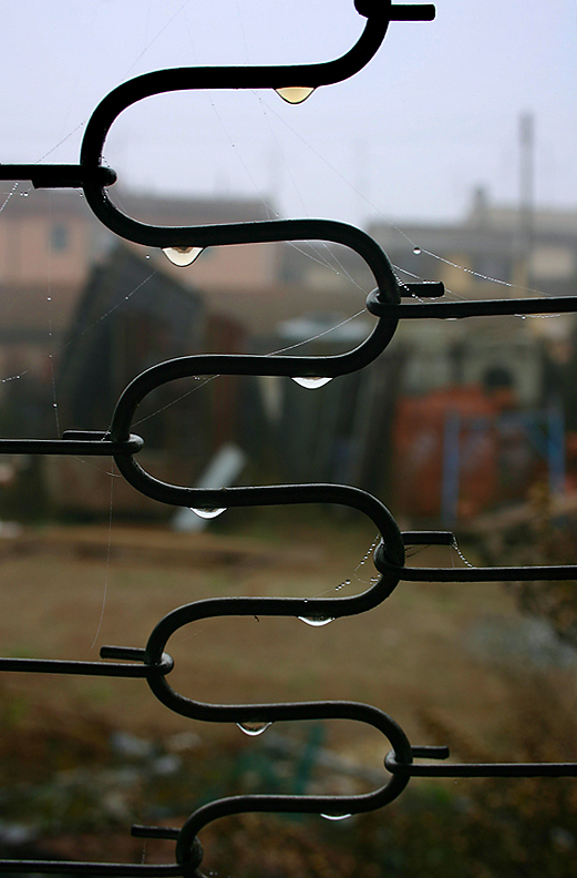 Stati di abbandono n. 2