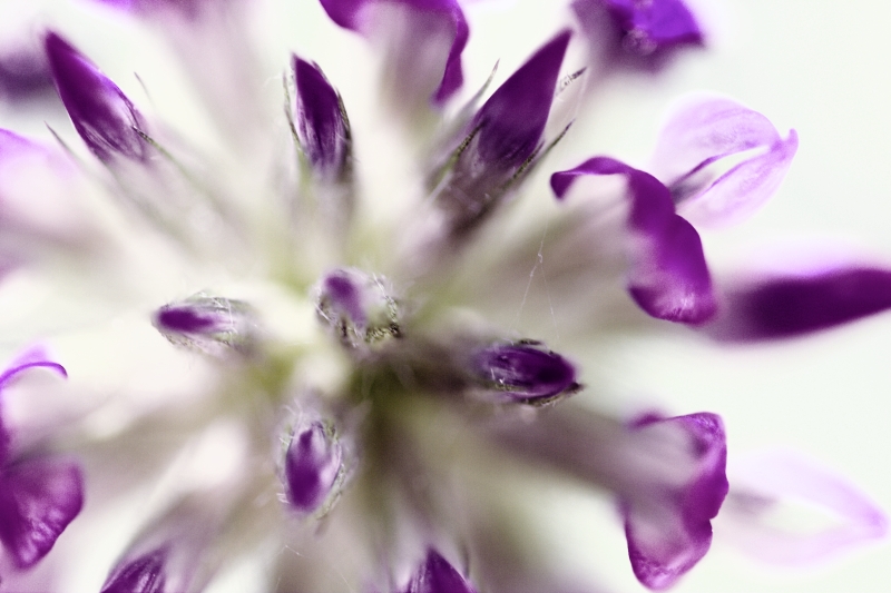 Galleggiando Sul Nulla