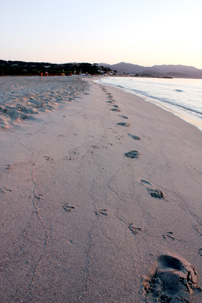 Passeggiata in compagnia