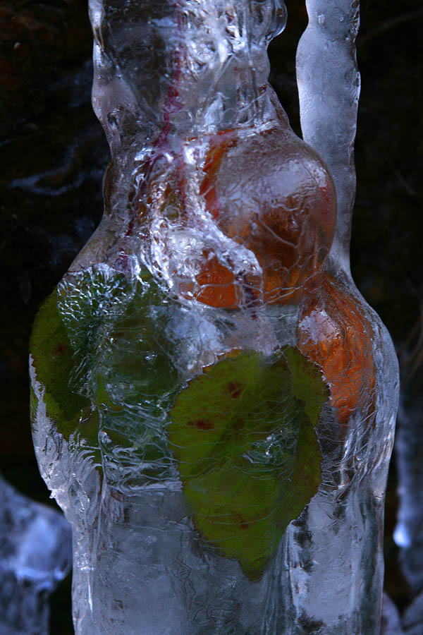 I colori del ghiaccio