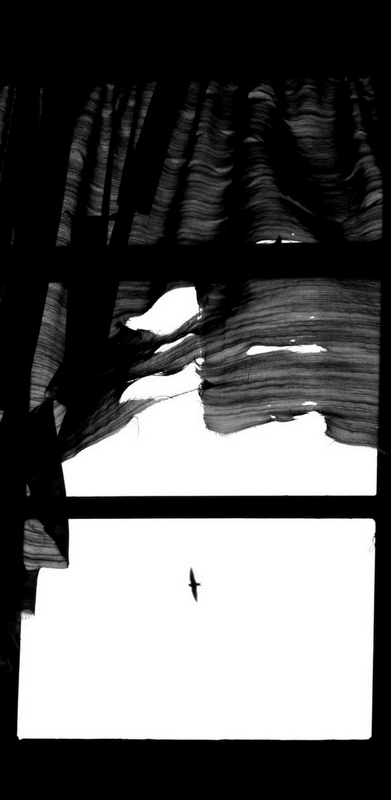 Felicit� impossibili