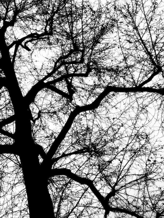 Ho sentito che pensi come me.....